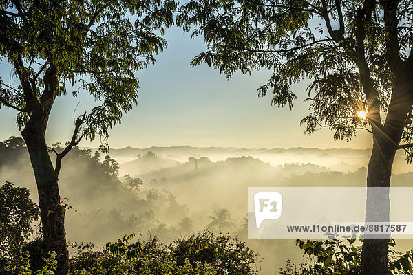 Pagode umgeben von Bäumen  im Nebel  Sonnenaufgang  Mrauk U  Sittwe-Division  Rakhine Staat  Myanmar