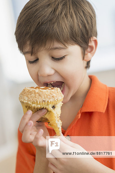 Junge - Person  Hispanier  Muffin  essen  essend  isst