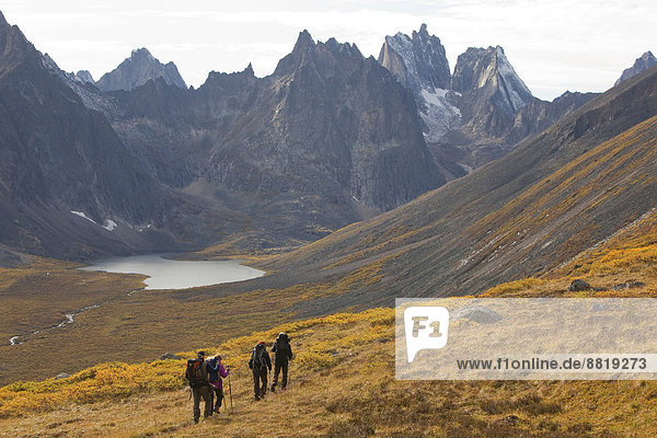 People hiking in arctic or subalpine tundra  Grizzly Lake and Mount Monolith behind  Indian summer  Tombstone Mountains Territorial Park  Yukon Territory  Canada