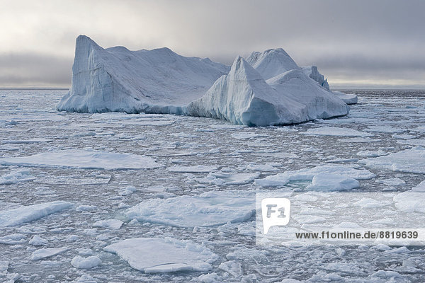 Eisberg im Packeis treibend  Packeisgrenze  Arktischer Ozean  Insel Spitzbergen  Inselgruppe Spitzbergen  Svalbard und Jan Mayen  Norwegen