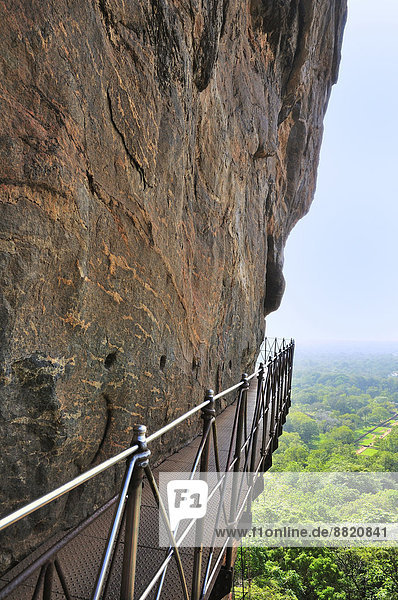 Eiserner Steg an der Steilwand des Löwenfelsens  UNESCO Weltkulturerbe  Sigiriya  Zentralprovinz  Sri Lanka