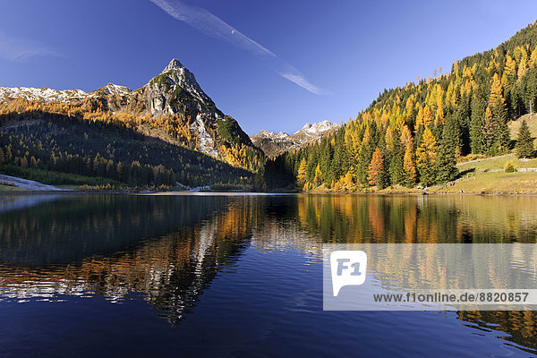 Herbstlich verfärbte Bäume spiegeln sich im See  Lungau  Riedingtal  Österreich