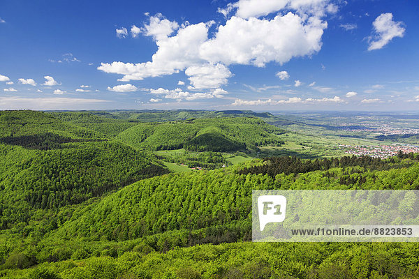 Ausblick vom Rossbergturm zum Albtrauf bei Mössingen  Schwäbische Alb  Baden-Württemberg  Deutschland