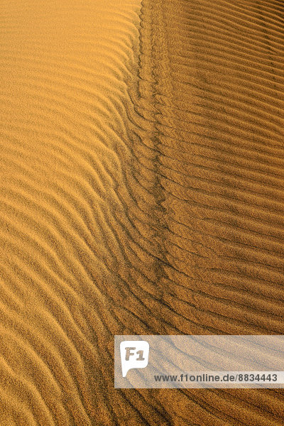 Algeria  Tassili n Ajjer  Sahara  sand ripples on a desert dune
