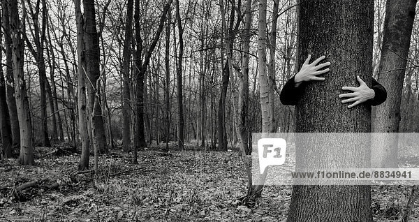 Two hands hugging a tree