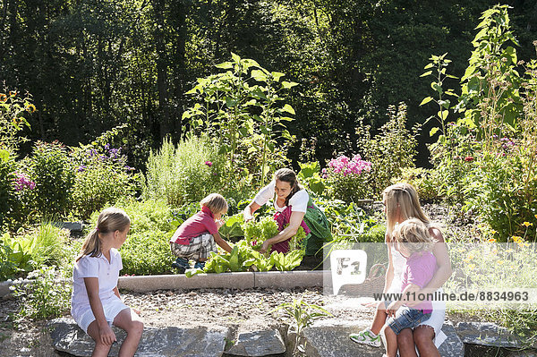 Österreich  Altenmarkt  Mutter und Kinder beobachten Bauer im Garten