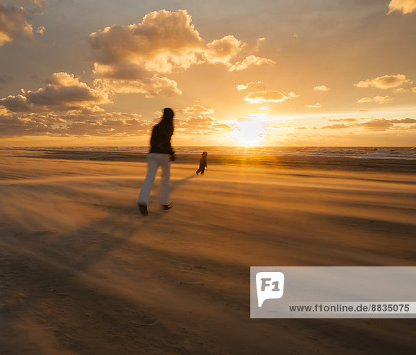 Dänemark  Jütland  Lokken  Mutter versucht  ihr Kind am stürmischen Strand bei Sonnenuntergang zu fangen.