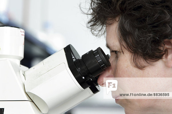 Wissenschaftler beim Blick durchs Mikroskop
