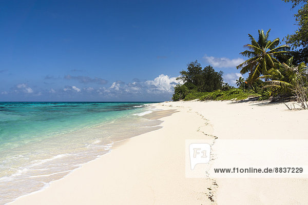 Seychellen  Nordkorallengruppe  Denis Island  Strand