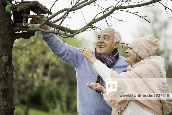 Senior couple watching a bird house