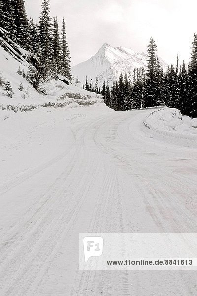 A winter snow covered part of the Maligne lake road in Jasper National Park Alberta Canada.