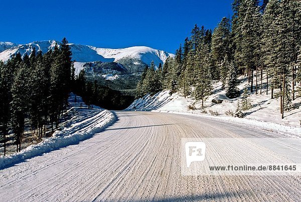 A snow covered winter road in Jasper National Park.