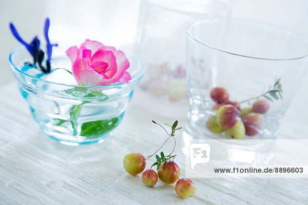 Wasser  Frucht  Rose