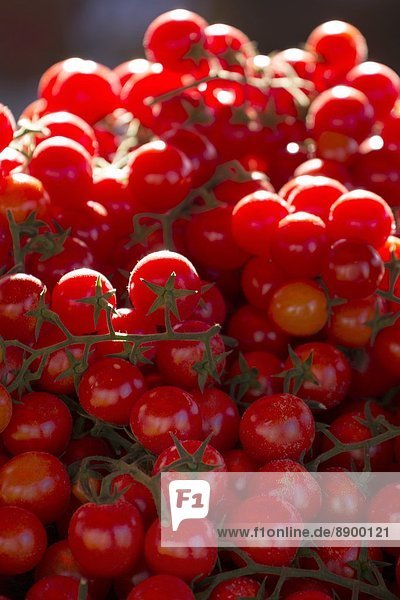 Europa  Kirsche  Tomate  verkaufen  Apulien  Alberobello  Italien  Markt