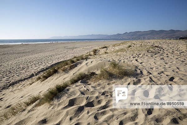 Dunes and beach  Pismo Beach  San Luis Obispo County  California  United States of America  North America
