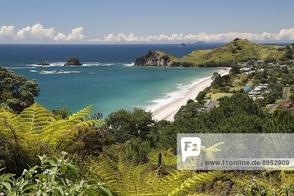 Pazifischer Ozean  Pazifik  Stiller Ozean  Großer Ozean  neuseeländische Nordinsel  Neuseeland