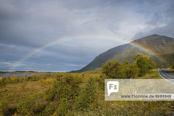 Regenbogen auf Vagan  Lofoten  Norwegen