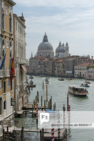 Grand Canal with the church of Santa Maria della Salute  Venice  Veneto  Italy