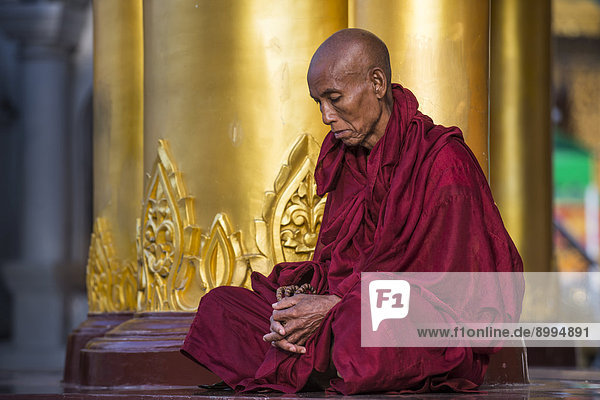 Buddhist monk in prayer  Shwedagon Pagoda  Singuttara Hill  Yangon or Rangoon  Yangon Region  Myanmar