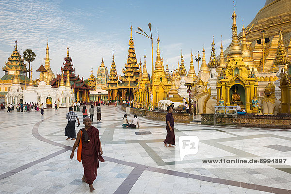 Mönche  Gläubige und Besucher  Schreine  Stupas  Chedis  Shwedagon Pagode  Singuttara Hügel  Yangon oder Rangun  Yangon-Division  Myanmar