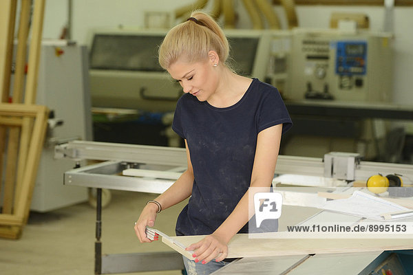 junge Frau junge Frauen arbeiten Zimmermann