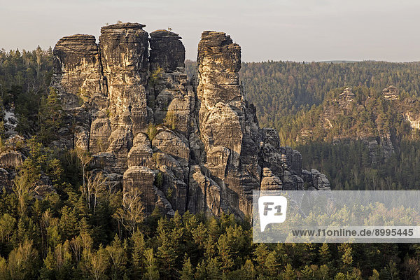 Bastei mit Felsformation Kleine Gans  Elbsandsteingebirge  Nationalpark Sächsische Schweiz  Sachsen  Deutschland