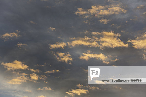 Altocumulus-Wolken bei Sonnenuntergang vor hohen Cirrostratus-Wolken  Schleierwolken  Andalusien  Spanien