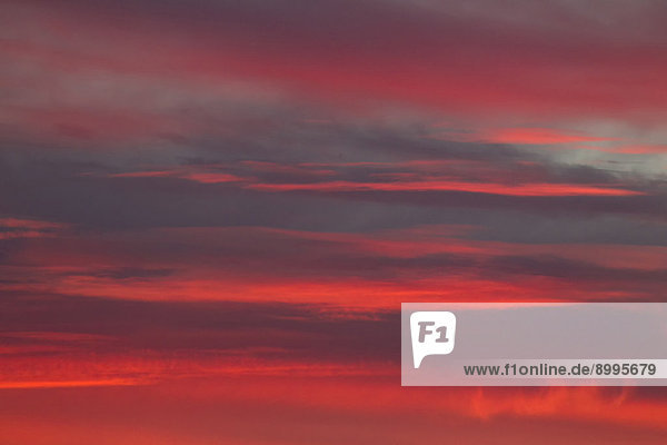 Stratocumulus-Wolken  bei Sonnenuntergang  Andalusien  Spanien