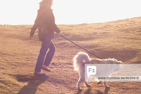 Mittlere erwachsene Frau  die mit ihrem Pyrenäen Sennenhund auf dem Feld spazieren geht.