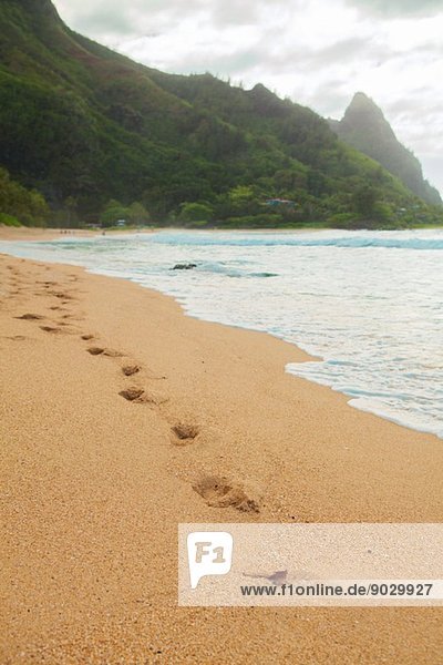 Fußabdrücke im Strandsand  Kaua'i  Hawaii  USA