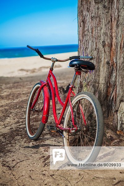 Red bicycle parked on beach  Kaua'i  Hawaii  USA