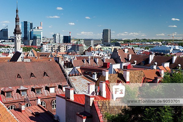 Roofs of old town  Tallinn  Estonia