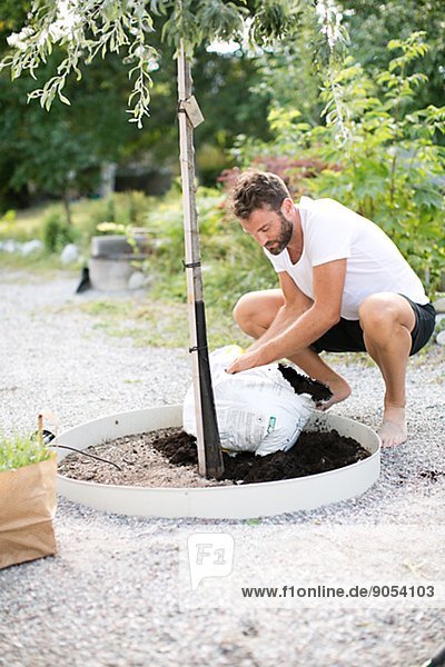 Man putting soil under tree  Stockholm  Sweden