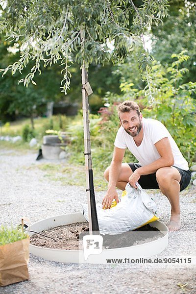 Mid adult man putting soil under lavender plant  Sweden