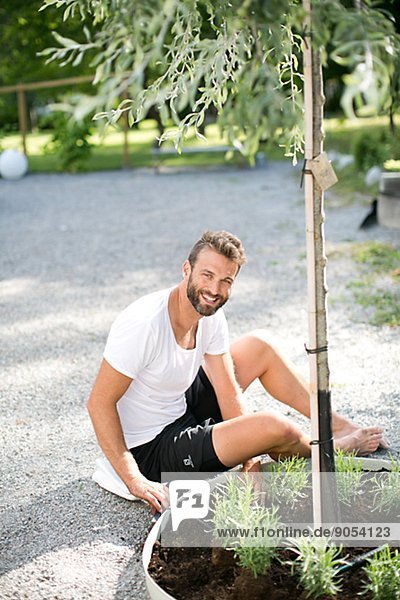 Man planting lavender in garden  Stockholm  Sweden