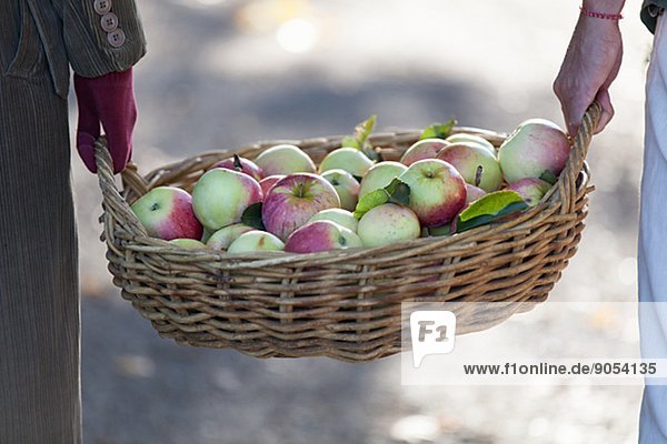 People carrying basket full of apples  close-up