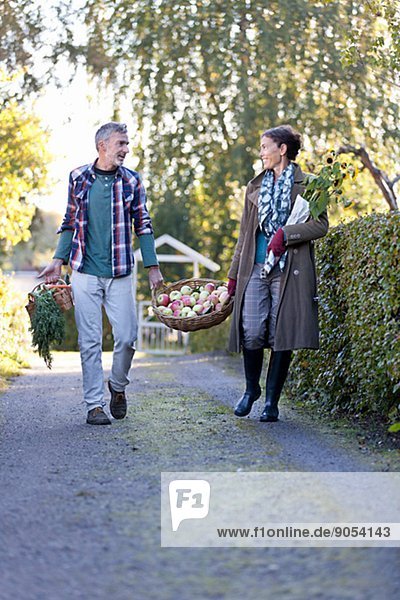 Mature couple carrying basket full of apples  Stockholm  Sweden