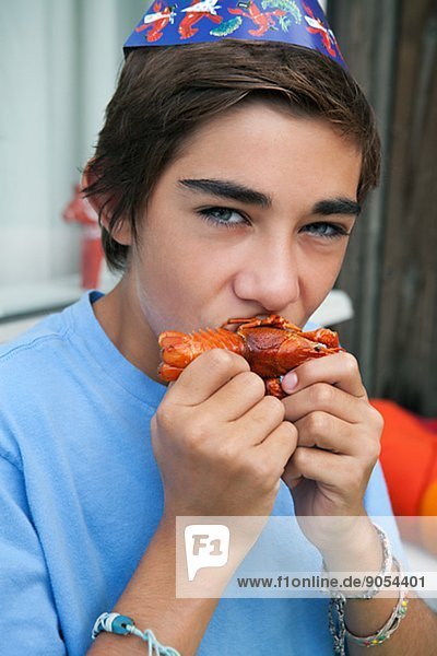 Portrait  Jugendlicher  Junge - Person  essen  essend  isst  Flußkrebs  Schweden