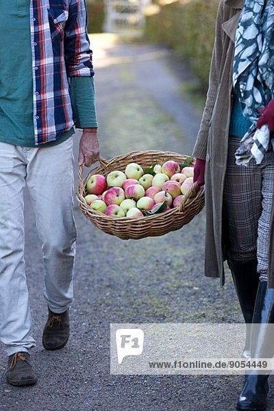 Couple with basket full of apples  Stockholm  Sweden