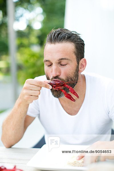 Man eating crayfish at crayfish party  Stockholm  Sweden