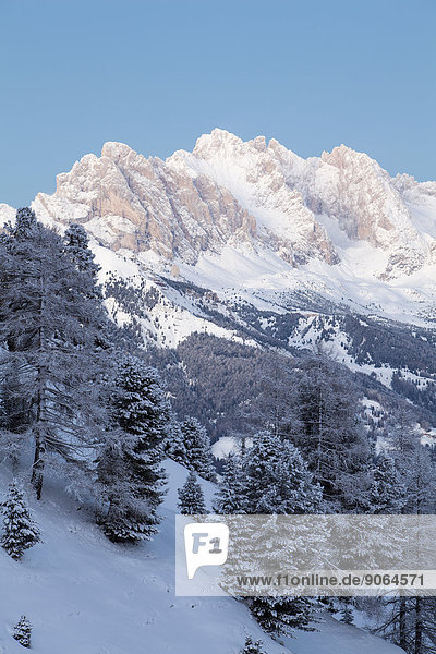 Geislerspitzen im Winter  Seiseralm  Südtirol  Italien