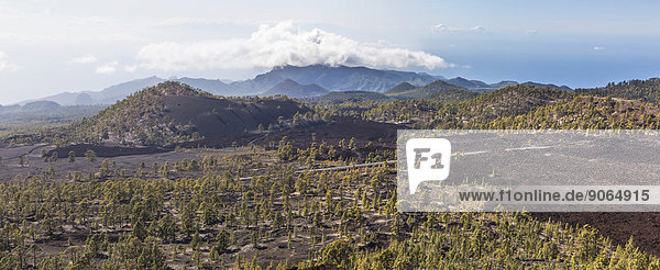 Panorama  Lavalandschaft  Aussicht vom Vulkan Samara  Las Canadas  UNESCO Weltnaturerbe Teide-Nationalpark  Teneriffa  Kanarische Inseln  Spanien