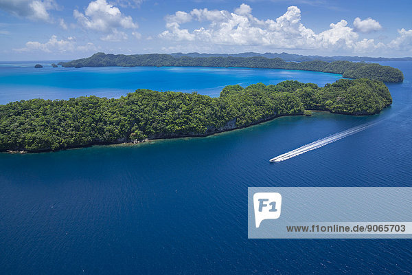 Tauchboot  Palau  Mikronesien