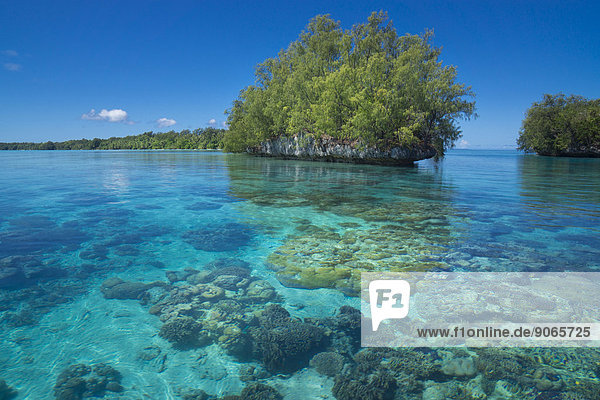 Inseln  Palau  Mikronesien