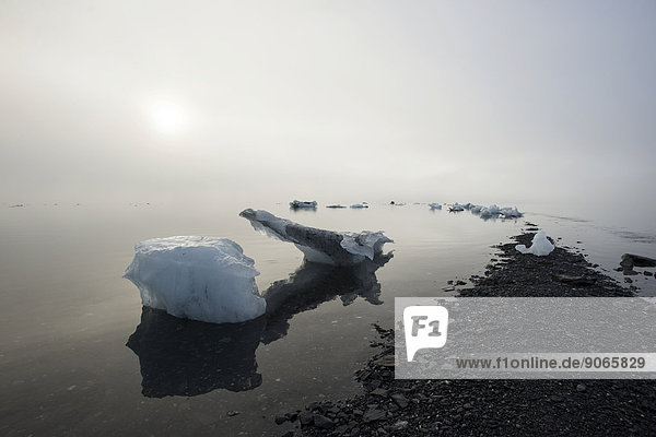 Gestrandete Eisberge und Nebel am Pakenham Point  Prinz-William-Sund  Prince William Sound  Alaska
