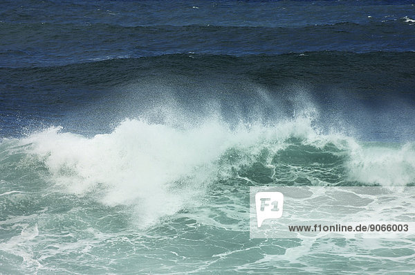 Brechende Welle  bei Punta Brava  Puerto de la Cruz  Teneriffa  Kanarische Inseln  Spanien