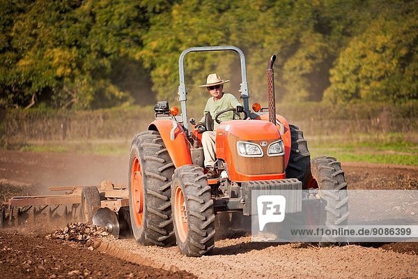 Tom Shepherd plowing field on a tractor  Shepherd Farm  Carpinteria  California