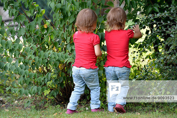 Eineiige Zwillingsmädchen spielen im Garten