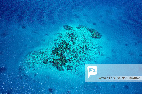Ozeanien  Palau  Pazifischer Ozean  Korallenriff