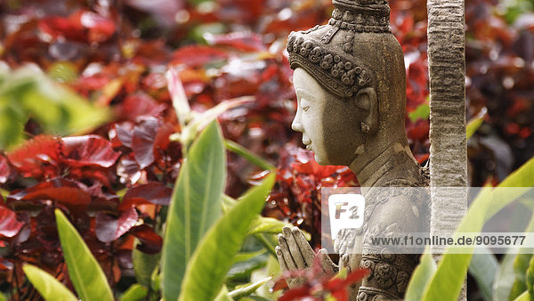 Asien  Thailand  Bangkok  Buddha-Figur im Garten